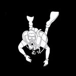 Load image into Gallery viewer, Divers Driving Car Sticker