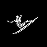 Load image into Gallery viewer, Perfect Surfing Car Sticker