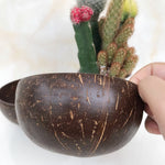 Load image into Gallery viewer, Natural healthy log coconut shell bowl set
