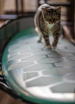 Load image into Gallery viewer, 20Pcs Hexatraction Waxless Surfboard Deck Grip (Clear)