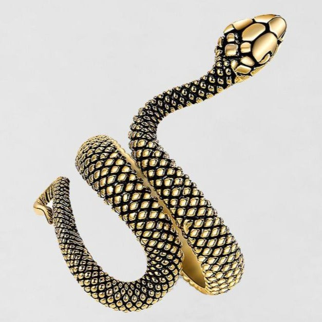 ENERGY STYLE SNAKE RING