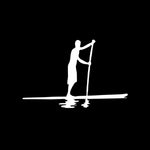 Load image into Gallery viewer, Paddling Car Sticker
